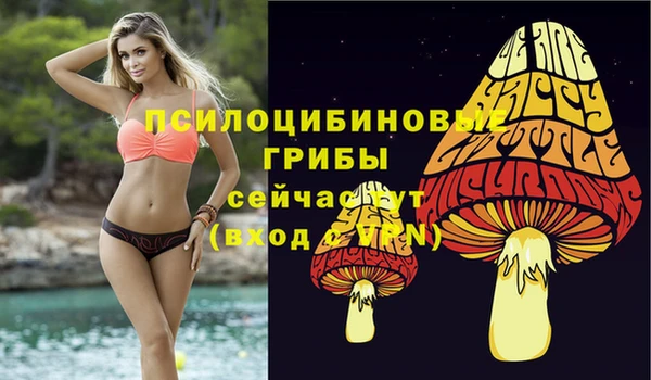 гашиш Аркадак