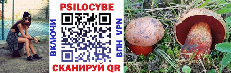 Галлюциногенные грибы Psilocybe  купить наркотик  Калязин 
